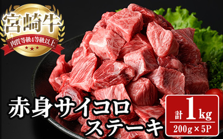 宮崎牛 サイコロステーキ(計1kg) 1kg お肉 牛肉 黒毛和牛 宮崎牛 ブランド和牛 冷凍 国産 サイコロ 赤身 ステーキ 宮崎県産 【YA008】【YAMATO株式会社】