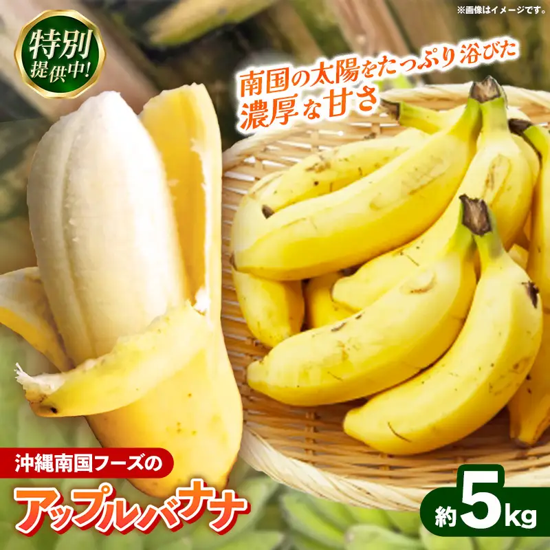 【特別提供中】 国産 希少種！南国フーズのアップルバナナ 約5kg - ばなな 小ぶり 沖縄県産 産地直送 朝食 おすすめ 八重瀬町【価格改定】