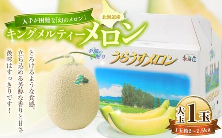キングメルティー メロン 大玉 1玉 約2kg～2.5kg  くだもの 果物 果実 フルーツ 舐瓜 北海道 浦臼町【2026年7月上旬－2026年7月下旬迄順次発送予定】