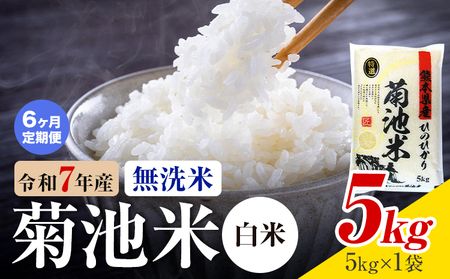 【6ヶ月定期便】熊本県産 菊池米 白米 無洗米 5kg 1袋5kg 米 お米 令和7年産 九州産 熊本県産 送料無料《お申込み翌月に出荷予定》 白米 米