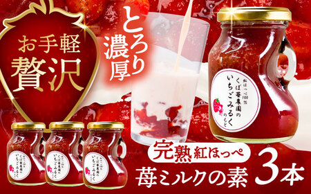 いちごミルクの素 3本 苺 イチゴ【配達不可：離島】 / くぼ苺農園[AECJ024]