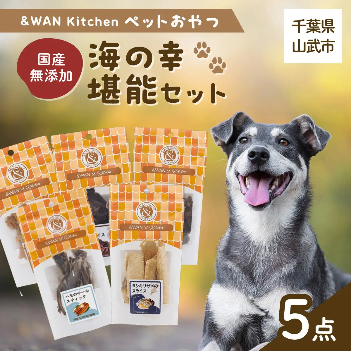 【毎月届く】＆WAN Kitchenペットおやつセット（海の幸堪能セット）（サメスライス/鮭まるごとビッツ/まぐろスティック/ハモしっぽ/エイまるごとチップ） SMU024