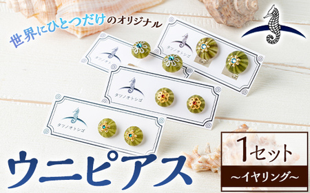 海アクセサリー ウニイヤリング (1セット) アクセサリー イヤリング ハンドメイド 手作り 耳飾り ギフト プレゼント 贈り物 雲丹 うに ウニ殻 1点もの オリジナル 数量限定 【タツノオトシゴ】as50-003