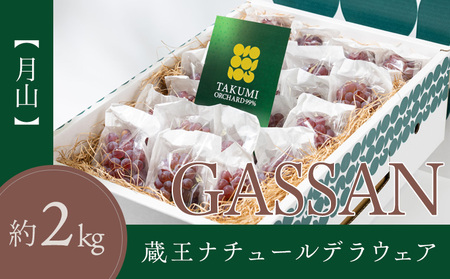 【月山 GASSAN】蔵王ナチュールデラウェア 山形のデラウエア TAKUMI ORCHARD 99% 贈答 L以上 約2kg 山形 山形県 山形市 フルーツ 果物 くだもの 送料無料 ぶどう 葡萄 ブドウ デラウェア 減農薬【令和8年産先行予約】FS25-118
