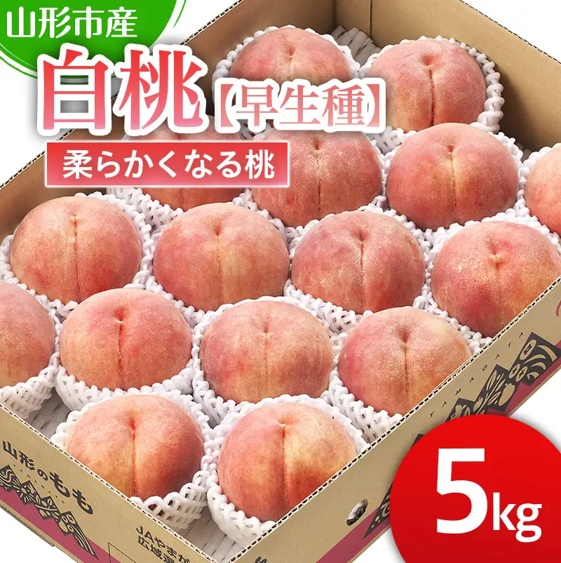 山形市産 白桃【早生種】「三郷･まどか･陽夏妃」柔らかくなる桃 5kg (13玉～18玉)【令和8年産先行予約】FS25-125