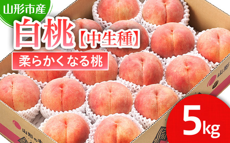 山形市産 白桃 【中生種】「かぐや・ゆうぞら・あぶくま」柔らかくなる桃5kg (13～18玉)【令和8年産先行予約】FS25-127