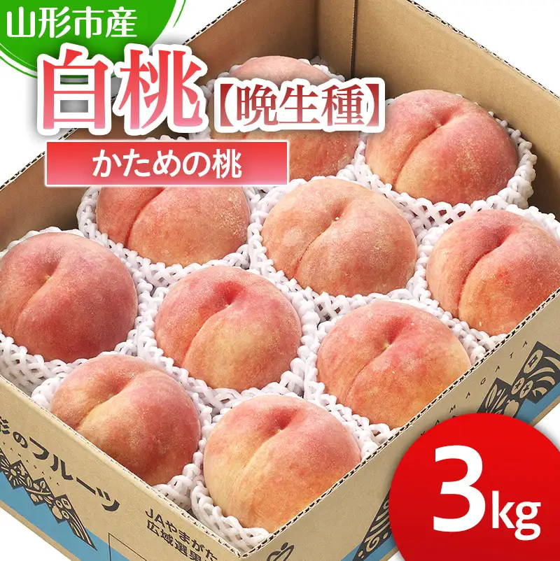 山形市産 白桃 【晩成種】「伊達白桃・白根白桃・さくら白桃」かための桃3kg (6～11玉)【令和8年産先行予約】FS25-128