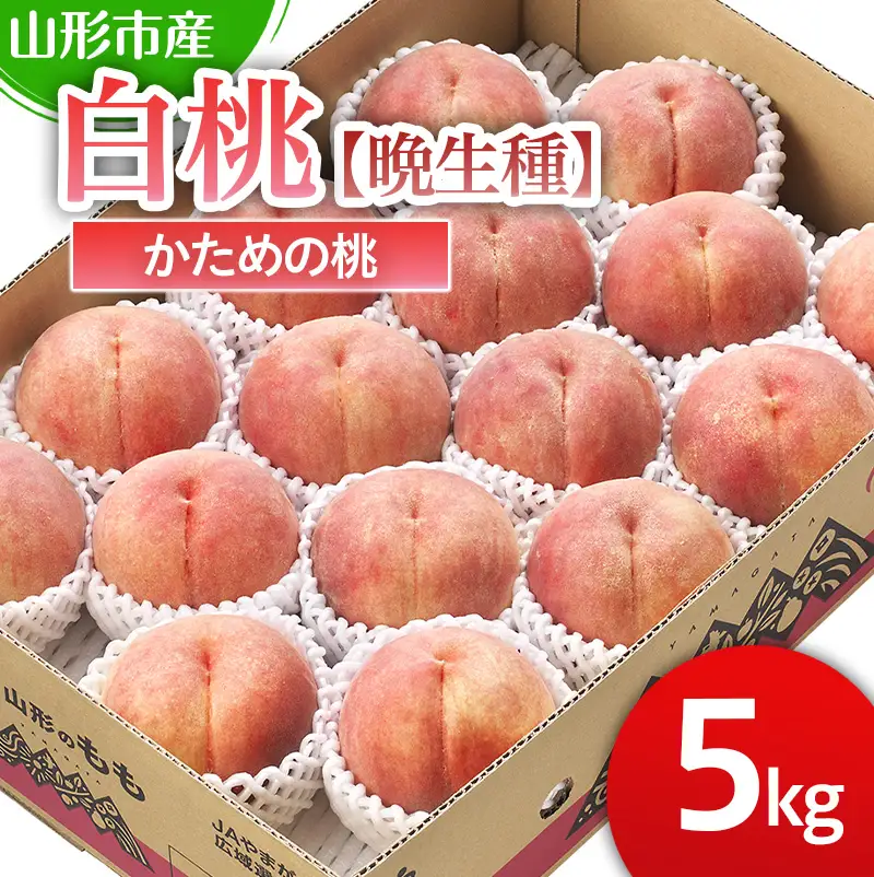 山形市産 白桃 【晩成種】「伊達白桃・白根白桃・さくら白桃」かための桃5kg 12～18玉【令和8年産先行予約】FS25-129