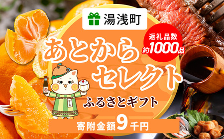 ZZ1004_あとからセレクト【ふるさとギフト】9千円