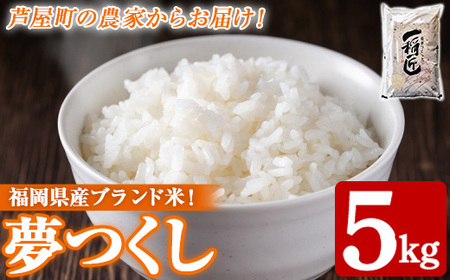 ≪令和7年産≫福岡県産 夢つくし 白米(計5kg) 白米 米 お米 おこめ ごはん ゆめつくし 夢つくし ご飯 常温 福岡県産 ブランド米 常温 常温保存 as32-004