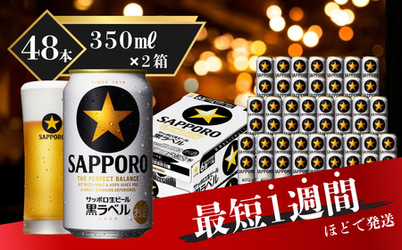 サッポロ ビール 黒ラベル 生ビール 350ml×24本×2箱 48本 千葉県 船橋市 缶ビール お酒