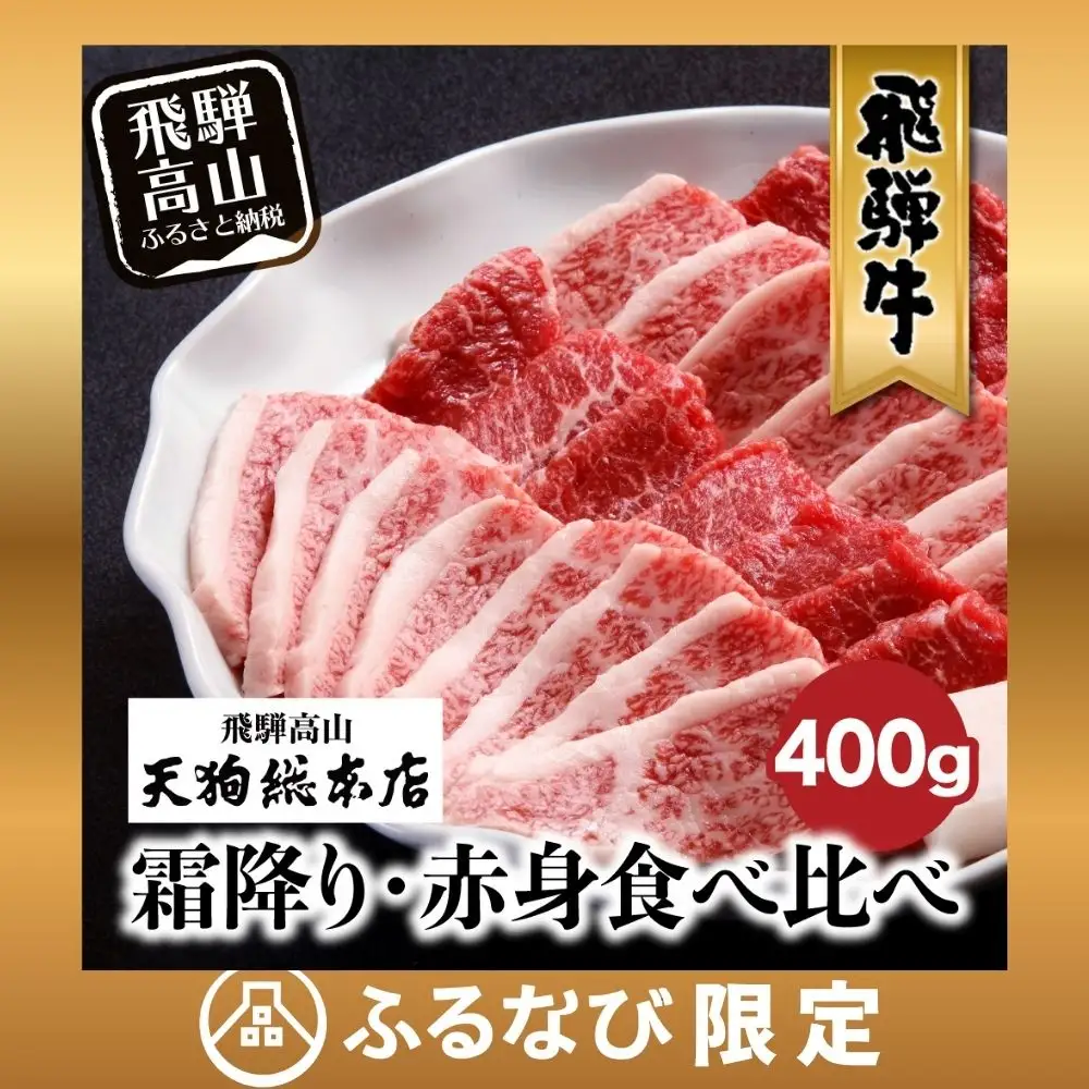 【ふるなび限定】飛騨牛 焼肉 400g 赤身or霜降り 焼肉 天狗総本店 BP013 FN-Limited-PR