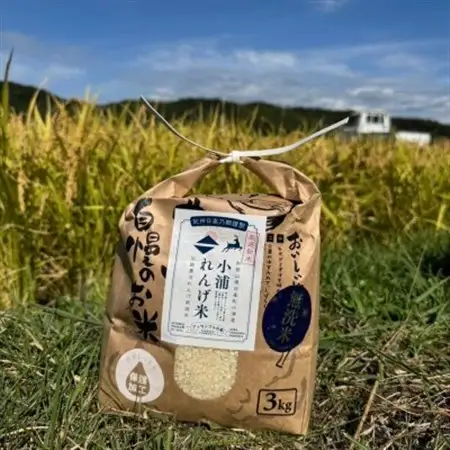 2025年(令和7年)産!日高町小浦の小浦れんげ米【玄米】3kg【1684639】
