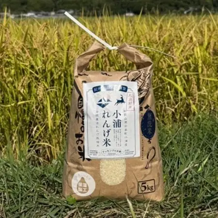 2025年(令和7年)産!日高町小浦の小浦れんげ米【玄米】5kg【1684643】