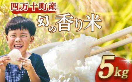 四万十育ち！冷めても香る幻の米『香り米』5kg／Fnp-01 香り米