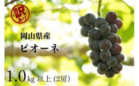 【訳あり】 ピオーネ 岡山県産ぶどう 訳ありピオーネ1.0kg以上（2房） 【kgftmt017-02】