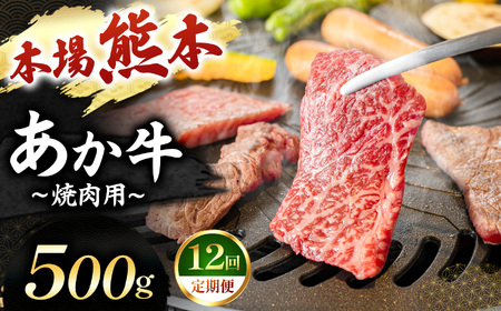 【定期便 12回】あか牛 焼肉用 500g | 肉 にく お肉 おにく 牛 あか牛 焼き肉用 熊本県 玉名市 定期 定期便