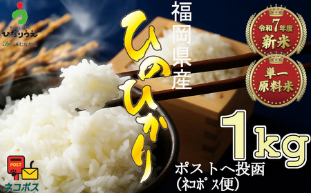 【令和7年産米】JAよりお届け！「ひのひかり」 1kg[H2307]