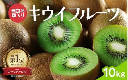 わけあり キウイ 10kg+250g（傷み補償分）扁平果 / 和歌山 家庭用 フルーツ 果物 くだもの ※2026年11月中旬より2027年4月下旬頃順次発送予定 ※北海道・沖縄・離島配送不可 【ikd716】
