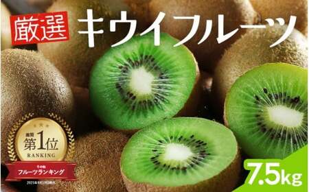 厳選 キウイ 7.5kg+250g（傷み補償分）【扁平果】 / 和歌山 フルーツ 果物 くだもの ※2026年11月中旬より2027年4月下旬頃順次発送予定 ※北海道・沖縄・離島配送不可 【ikd713】