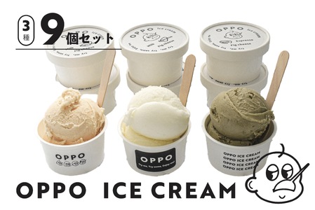【数量限定】 アイスクリーム 90ml×9カップ アイス スイーツ ミルクアイス ラクトアイス クリーム ミルク ラクト いちじく フルーツ チーズ エスプレッソ コーヒー おやつ お菓子 デザート 国産 茨城県 小美玉市 97-B
