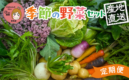 《先行予約》彩り野菜セット 5種 5回お届け 定期便 定期便