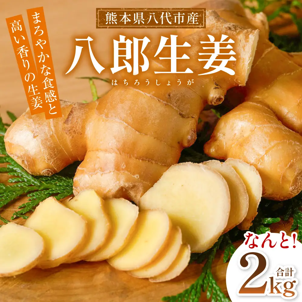 八郎生姜 2kg しょうが ショウガ ガリ ジンジャー 野菜 食品 薬味 生姜焼き しょうが焼き 温活 冷え性 対策 熊本県 八代市 東陽町 産地直送 国産