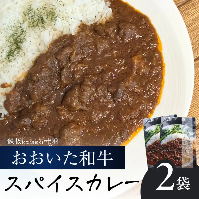 おおいた和牛 スパイスカレー 2袋 K03037