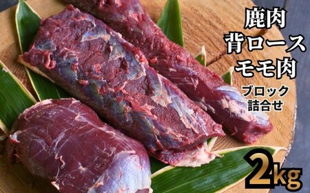森のジビエ  鹿肉 ブロック おまかせ詰合せ2㎏ A-JJ-A23A