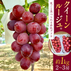 クイーンルージュ(約1kg、2～3房)　