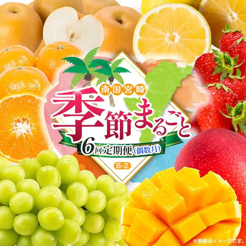 【偶数月 6回定期便】旬 人気 フルーツ 南国宮崎産 マンゴー シャインマスカット いちご 日向夏 梨 みかん 柑橘 ぶどう 果物 詰め合わせ 宮崎県 九州＜B-2コース M220＞