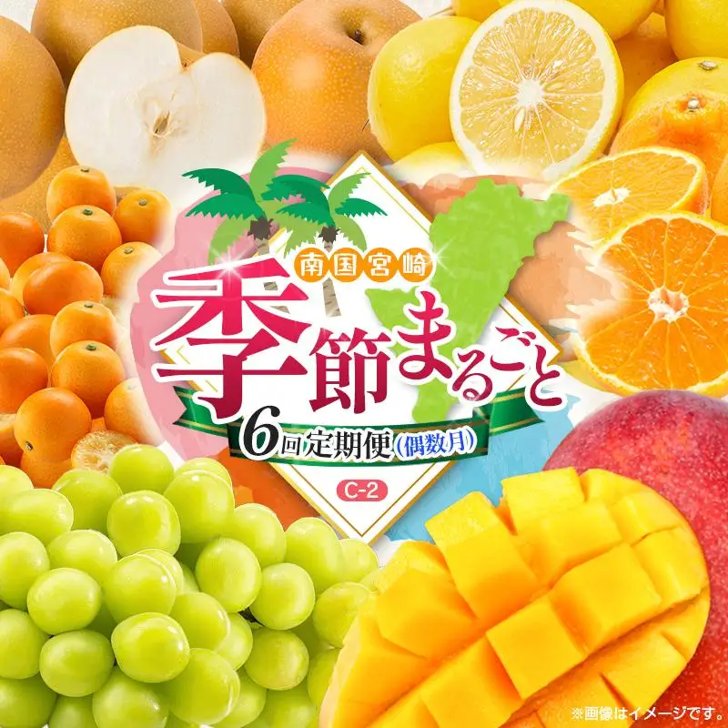 【偶数月 6回定期便】旬 人気 フルーツ 南国宮崎産 マンゴー 金柑たまたま シャインマスカット みかん 梨 日向夏 柑橘 きんかん ぶどう 果物 詰め合わせ 宮崎県 九州＜C-2コース M320＞