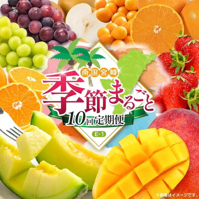【10回定期便】旬 人気 フルーツ 南国宮崎産 太陽のタマゴ 金柑たまたまエクセレント シャインマスカット ピオーネ いちご みかん 梨 メロン 柑橘 マンゴー きんかん たまたま ぶどう 果物 詰め合わせ 宮崎県 九州＜E-1コース M500＞