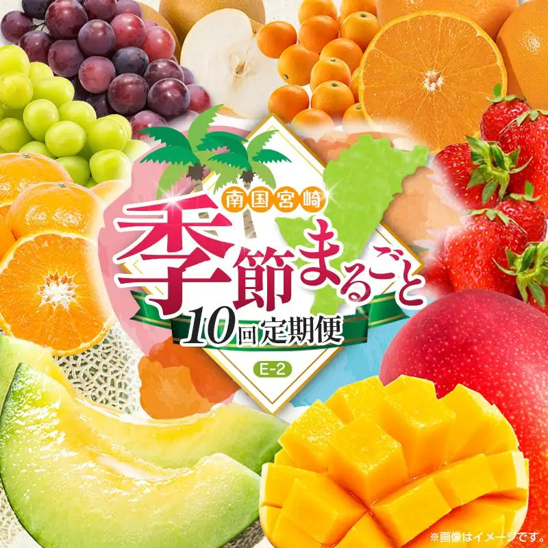 【10回定期便】旬 人気 フルーツ 南国宮崎産 マンゴー 金柑たまたま シャインマスカット ピオーネ いちご みかん 梨 メロン 柑橘 きんかん ぶどう 果物 詰め合わせ 宮崎県 九州＜E-2コース M600＞