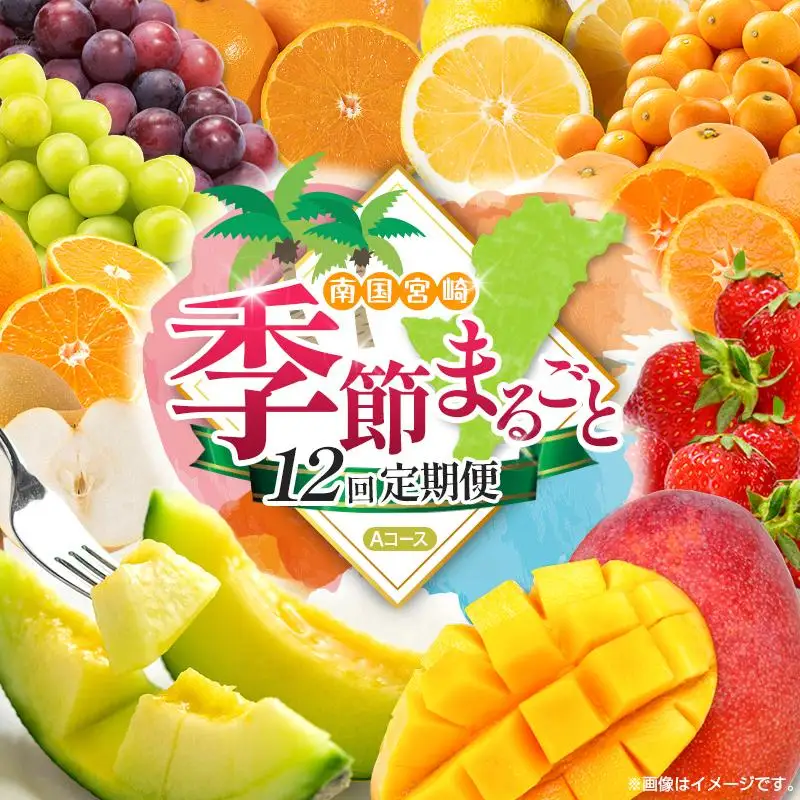 【12回定期便】旬 人気 フルーツ 南国宮崎産 太陽のタマゴ たまたまエクセレント シャインマスカット ピオーネ いちご みかん 日向夏 メロン 梨 柑橘 完熟 マンゴー きんかん たまたま ぶどう 果物 詰め合わせ 宮崎県 九州 1年 毎月お届け＜Aコース M100＞