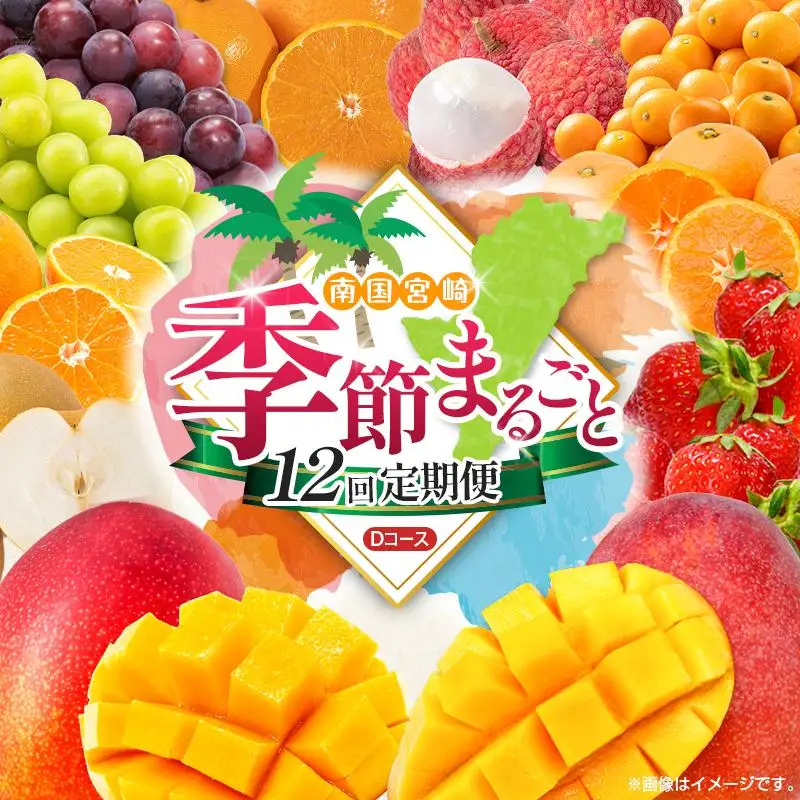 【12回定期便】旬 人気 フルーツ 南国宮崎産 マンゴー ライチ 金柑たまたまエクセレント シャインマスカット ピオーネ いちご みかん 梨 柑橘 太陽のタマゴ きんかん たまたま ぶどう 果物 詰め合わせ 宮崎県 九州 1年 毎月お届け＜Dコース M400＞