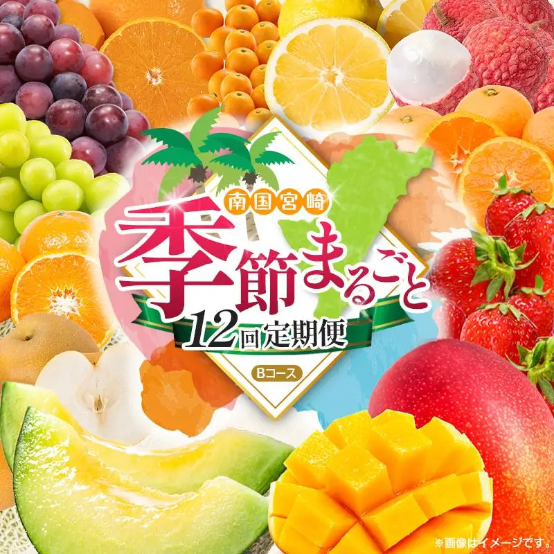 【12回定期便】旬 人気 フルーツ 南国宮崎産 マンゴー ライチ 金柑たまたま シャインマスカット ピオーネ いちご みかん 日向夏 メロン 梨 柑橘 きんかん ぶどう 果物 詰め合わせ 宮崎県 九州 1年 毎月お届け＜Bコース M200＞