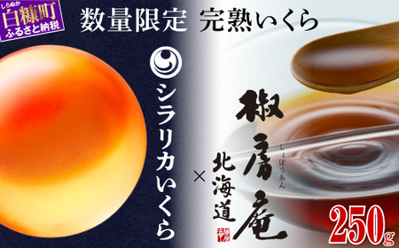 数量限定 完熟いくら【生いくら250g たれ70g】_I022-1624