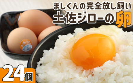 ましくんの完全放し飼い土佐ジローの卵 (12個入り×2箱)もみ殻梱包 【R00444】
