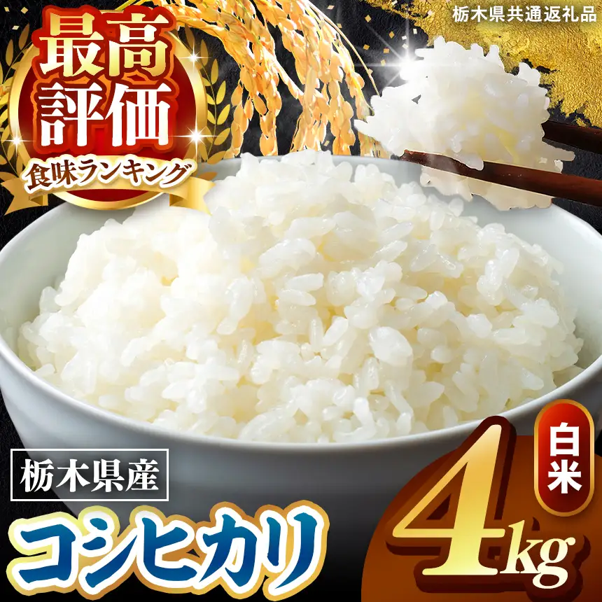 令和8年度産 先行予約 こしひかり 白米 約4kg