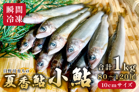 日野川育ちの「夏香鮎」小鮎（約10㎝）瞬間冷凍 1kg【鮎 冷凍 1kg 国産 アユ あゆ 魚 魚介 海鮮 養殖 川魚 塩焼き 甘露煮 煮凝り 素揚げ 天ぷら 鳥取県 日吉津村 日野川 日本海】