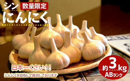 ＜7月上旬～9月中旬発送予定＞＜数量限定＞シン・にんにく(ABランク・約3kg) 国産 大阪 箕面 シンニンニク 乾燥ニンニク ガーリック 常温 野菜 香味野菜 料理 新登場 【m102-05】【トラキチ】