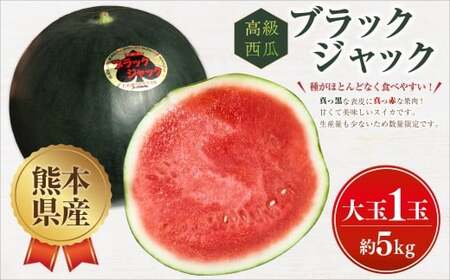 熊本県産 ブラックジャック （高級西瓜） 約5kg 1玉 スイカ すいか 西瓜 フルーツ 果物 くだもの 熊本 国産  【2026年5月下旬発送開始】