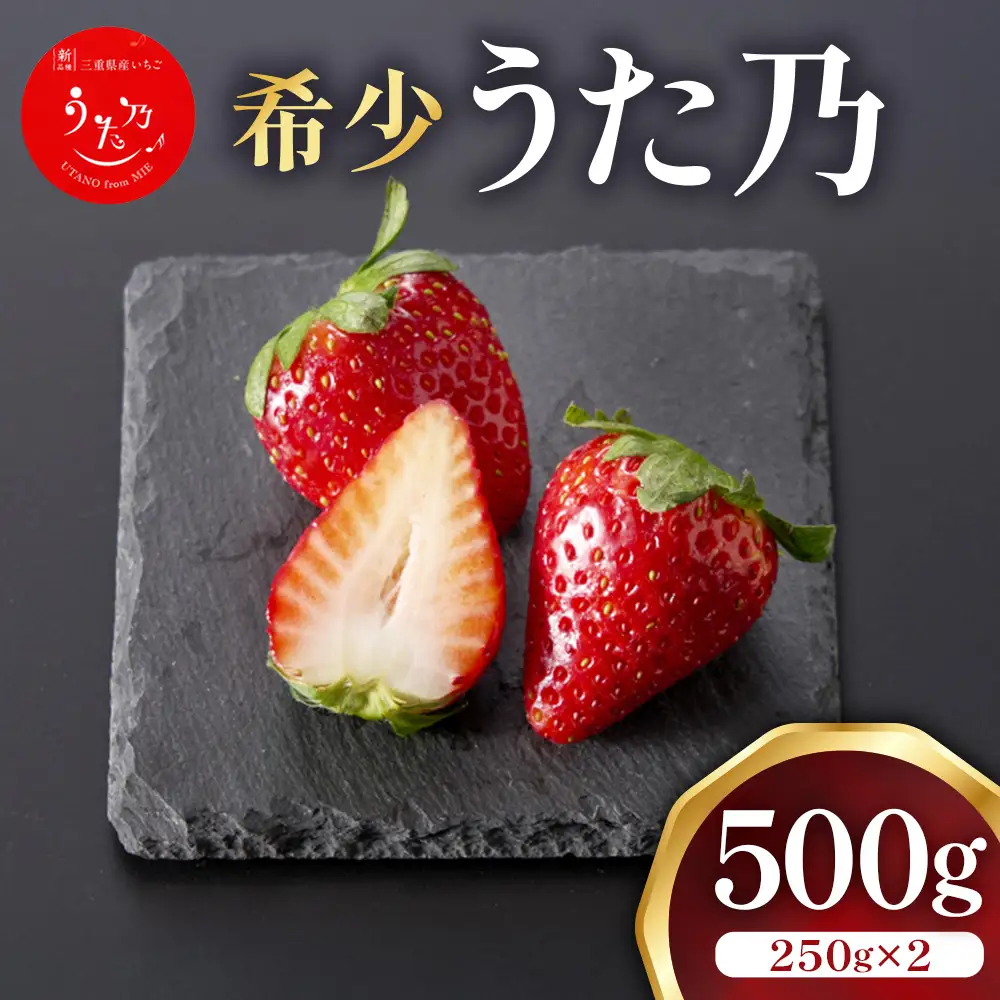 いちご【26年3～5月発送】うた乃 2パック×250g 完熟いちご
