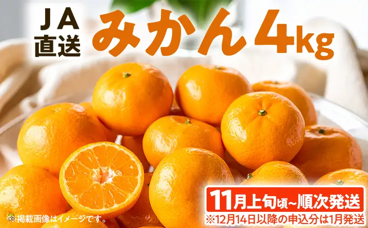 期間限定 みかん 4kg【11月上旬頃から順次発送】みかん