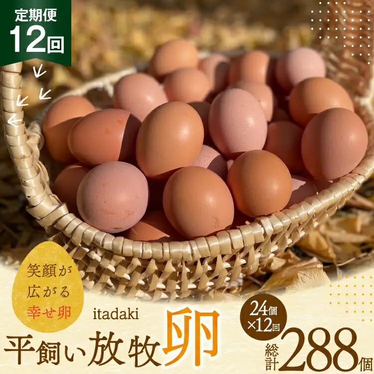 卵 平飼い たまご タマゴ 玉子 新鮮 12回 定期便 平飼い放牧卵「itadaki」4パック 24個／回 総計288個 [ナチュラルエッグラボ 長崎県 平戸市 hr42bgy420052]