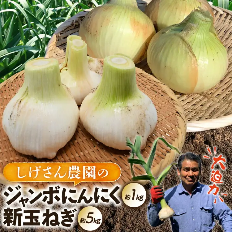 野菜 にんにく 玉ねぎ セット ジャンボにんにく 約1kg 新玉葱 約5kg 詰め合わせ 【期間限定発送】 [しげさん農園 長崎県 平戸市 hr42bgy420132]
