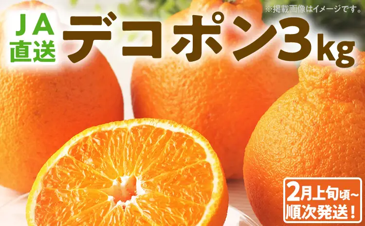 デコポン 3kg 【2月上旬頃から順次発送】 不知火 デコポン