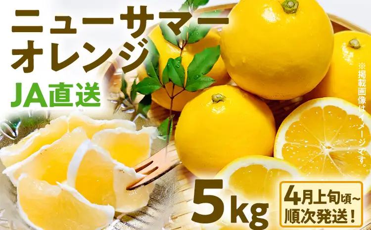 期間限定 ニューサマーオレンジ 日向夏 5kg 【4月上旬頃から順次発送】オレンジ