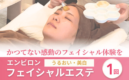 エステ チケット エンビロン フェイシャルエステ クールビタミントリートメント
